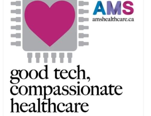 The Wellness Journey