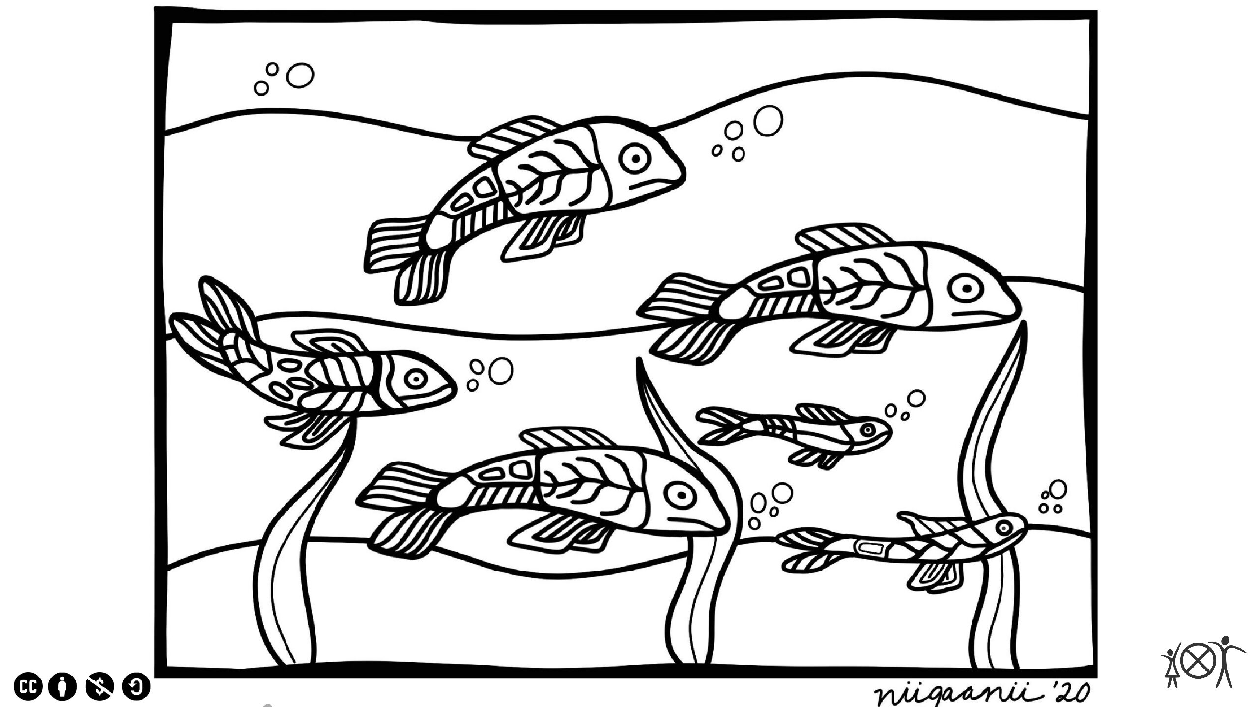 Fish Coloring Page Fish Coloring Page