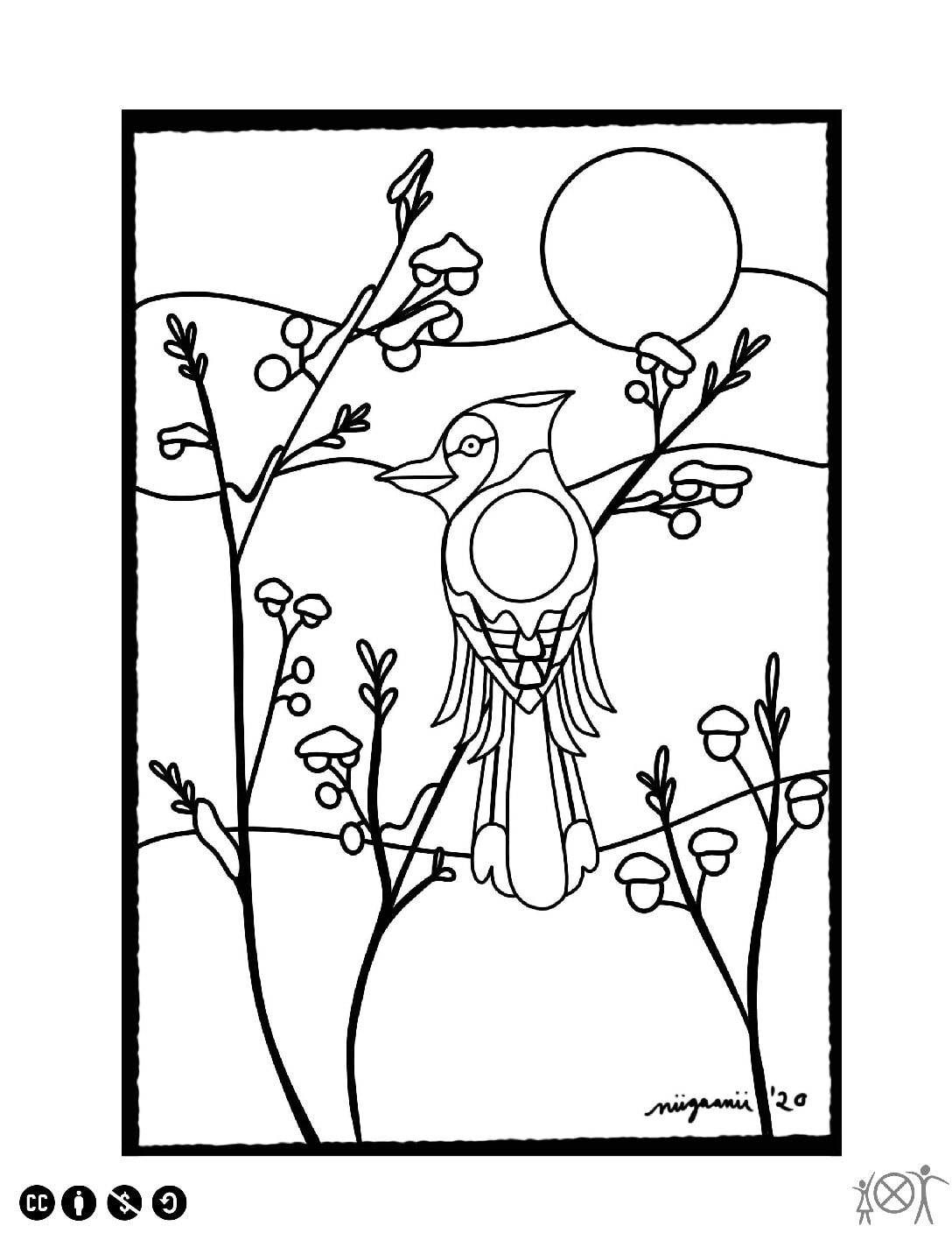 Snow Bird Coloring Page Snow Bird Coloring Page